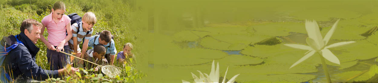 Untitled Header Image